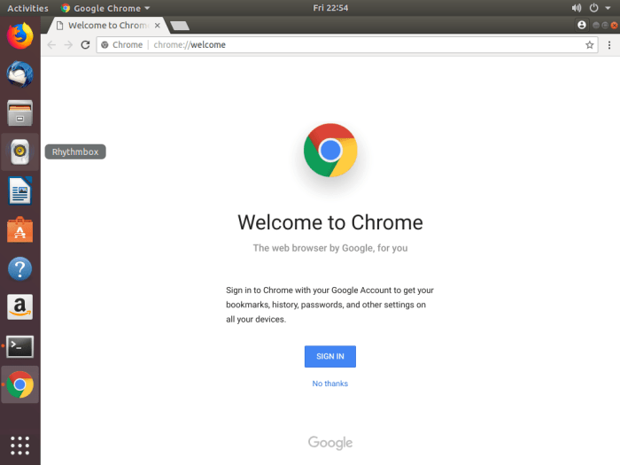 Install google web browser
