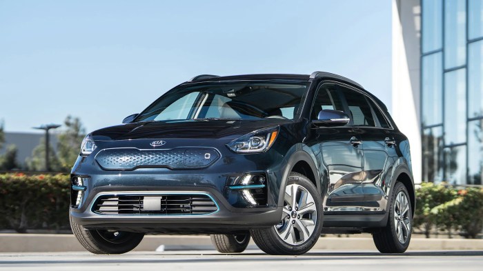 Kia niro ev