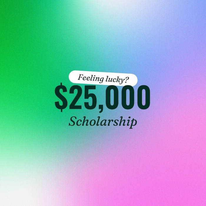 Scholarship niche indu