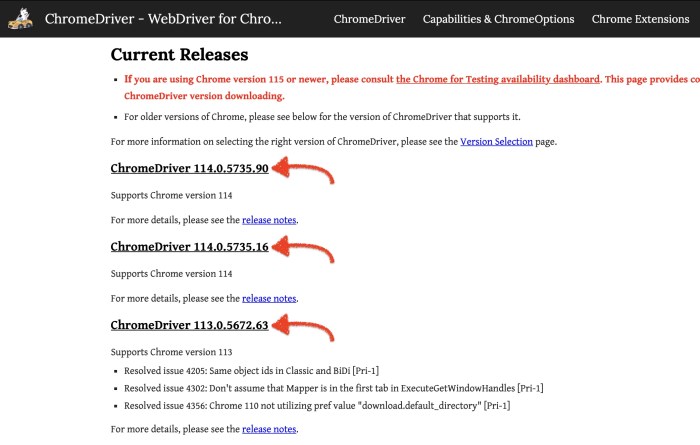 Chromedriver install