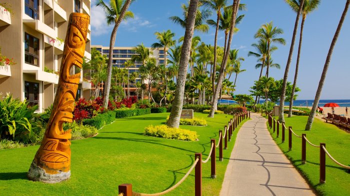 Kaanapali beach hotel