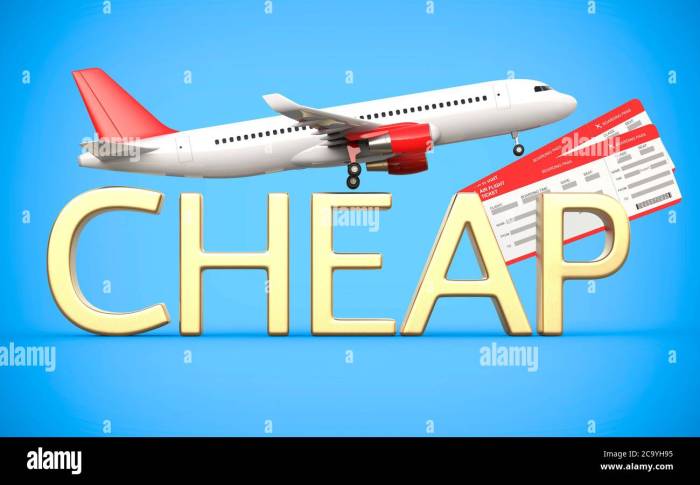 Cheap airline tickets