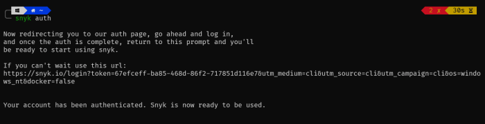 Install snyk cli