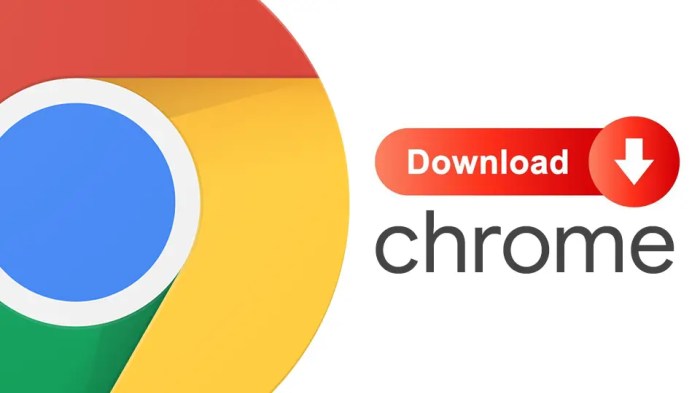 Chrome install download