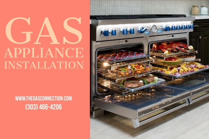 Denver gas line installation