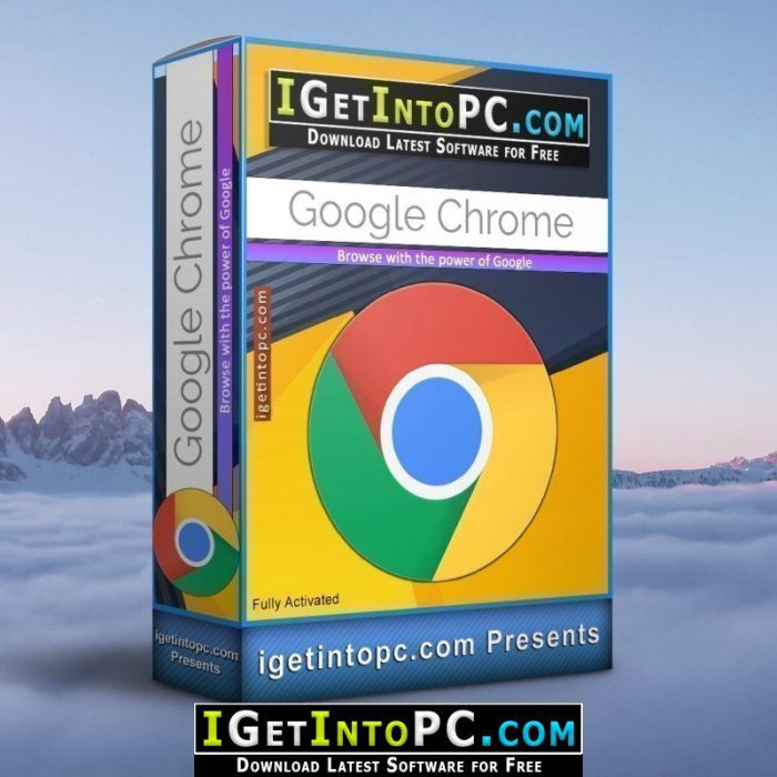 Chrome browser installer