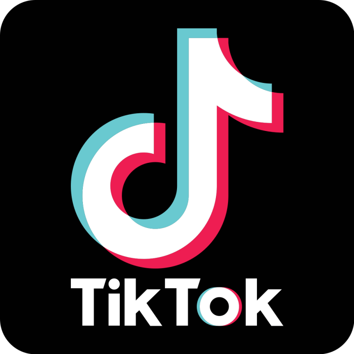 Instalar aplicación tik tok