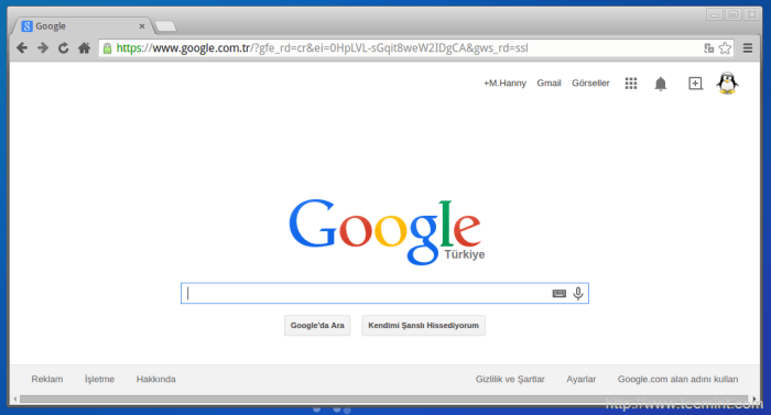 Install google browser
