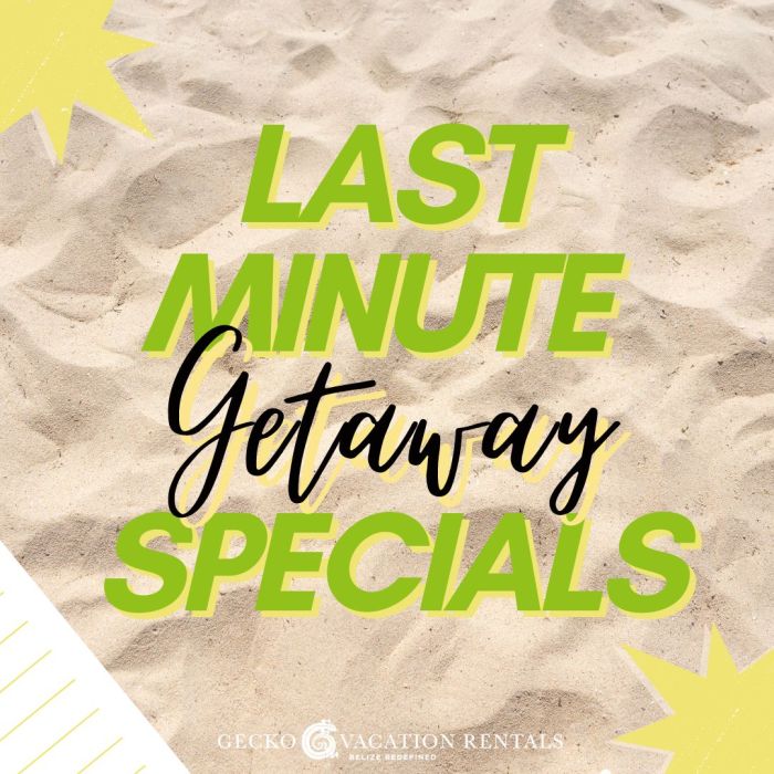Last deals 411travelbuys ca minute demand popular back vacation Last deals 411travelbuys ca minute demand popular back vacation