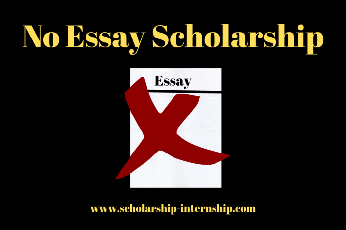 Scholarships tun