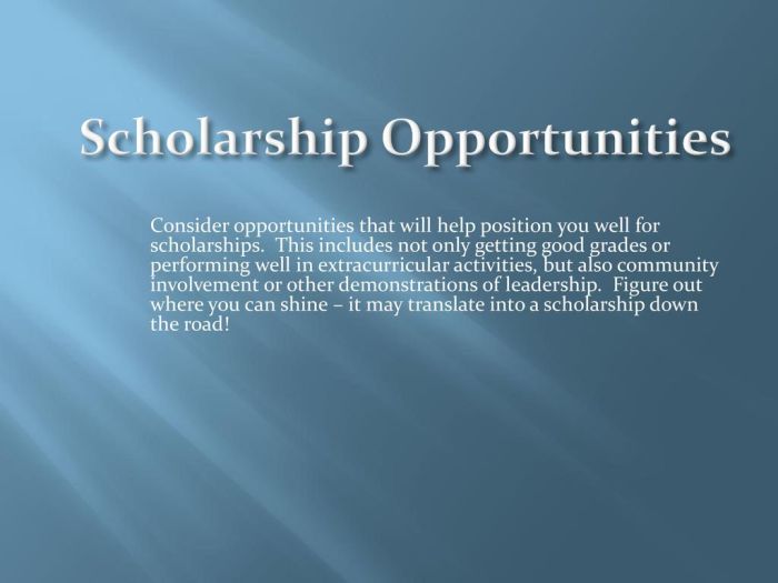 Scholarship opportunities