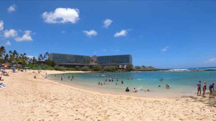 Turtle bay resort