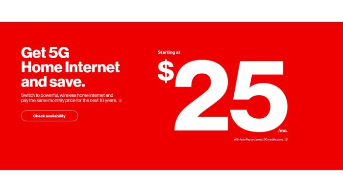 Verizon internet installation fee