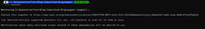 Install snyk cli