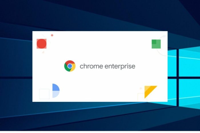 Chrome standalone enterprise installer