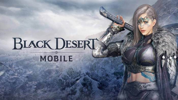 Black desert installer