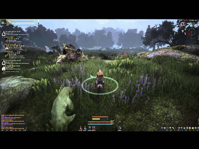 Black desert steam online get right now can kitguru