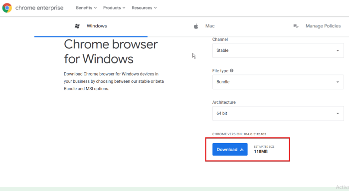 Chrome enterprise installer