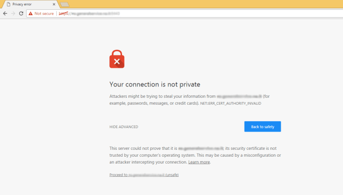 Chrome ssl signed self install certificates f12 hitting developer tools point open Chrome ssl signed self install certificates f12 hitting developer tools point open