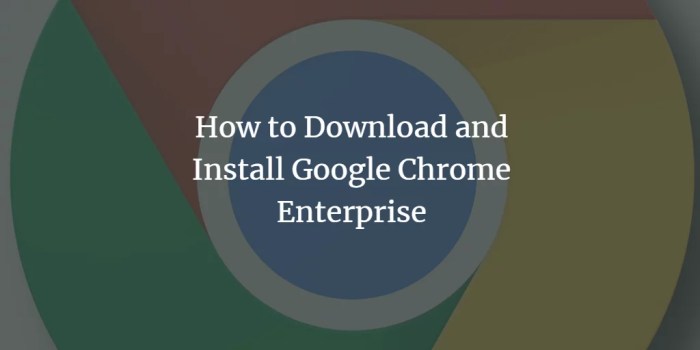Chrome business installer