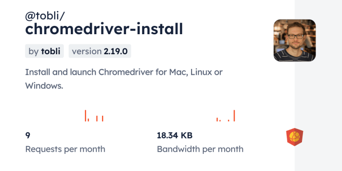 Chromedriver installation