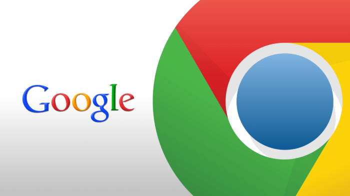 Chrome installer