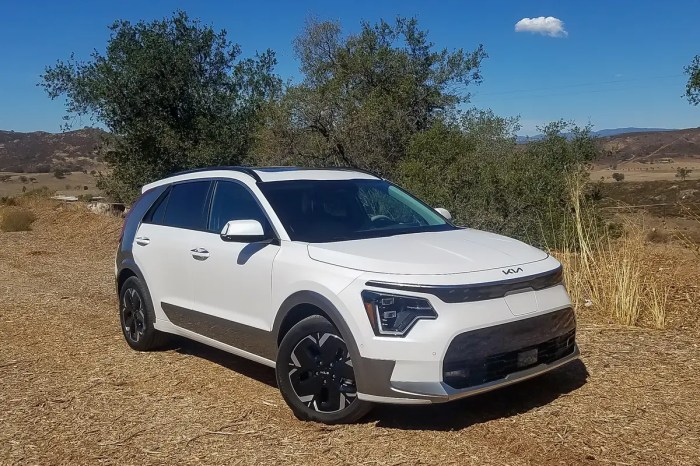 Kia niro ev