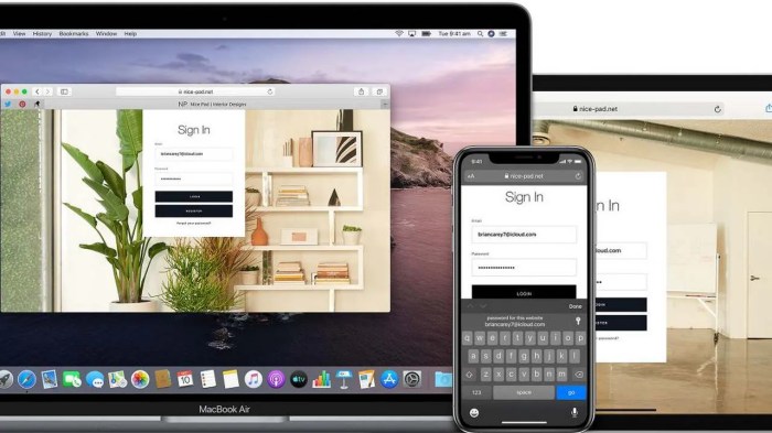 Install chrome browser