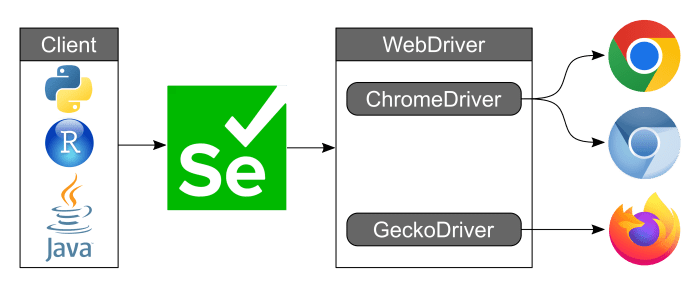 Chromedriver installation