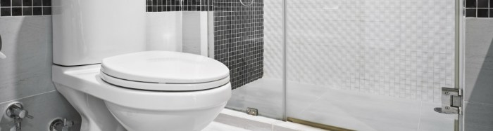 Toilet installation tacoma